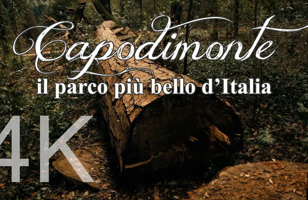 Alla Corte del Re Dimora Storica-1